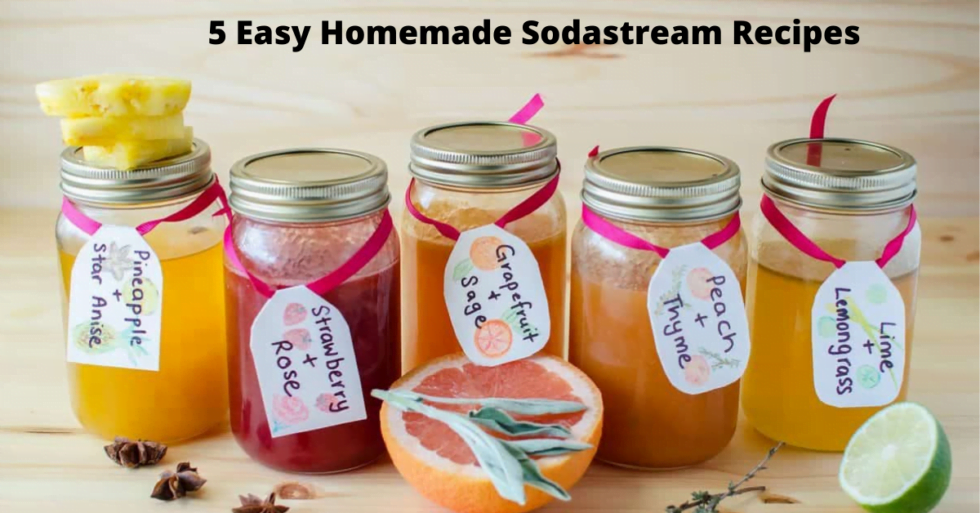 5 Easy Homemade Sodastream Recipes Soda Syrups WaterFilterNet Com   Homemade Sodastream Syrup 980x513 