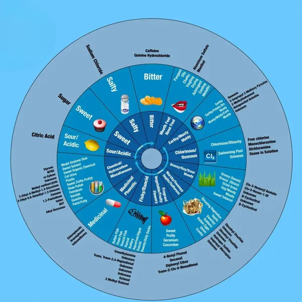 Taste and Smell Water Problems in Cyprus Taste and smell water problem wheel showing possible causes of bad tasting water in Cyprus